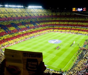 开云APP-魔术鏖战上海队，胡金秋扛起全队的背后