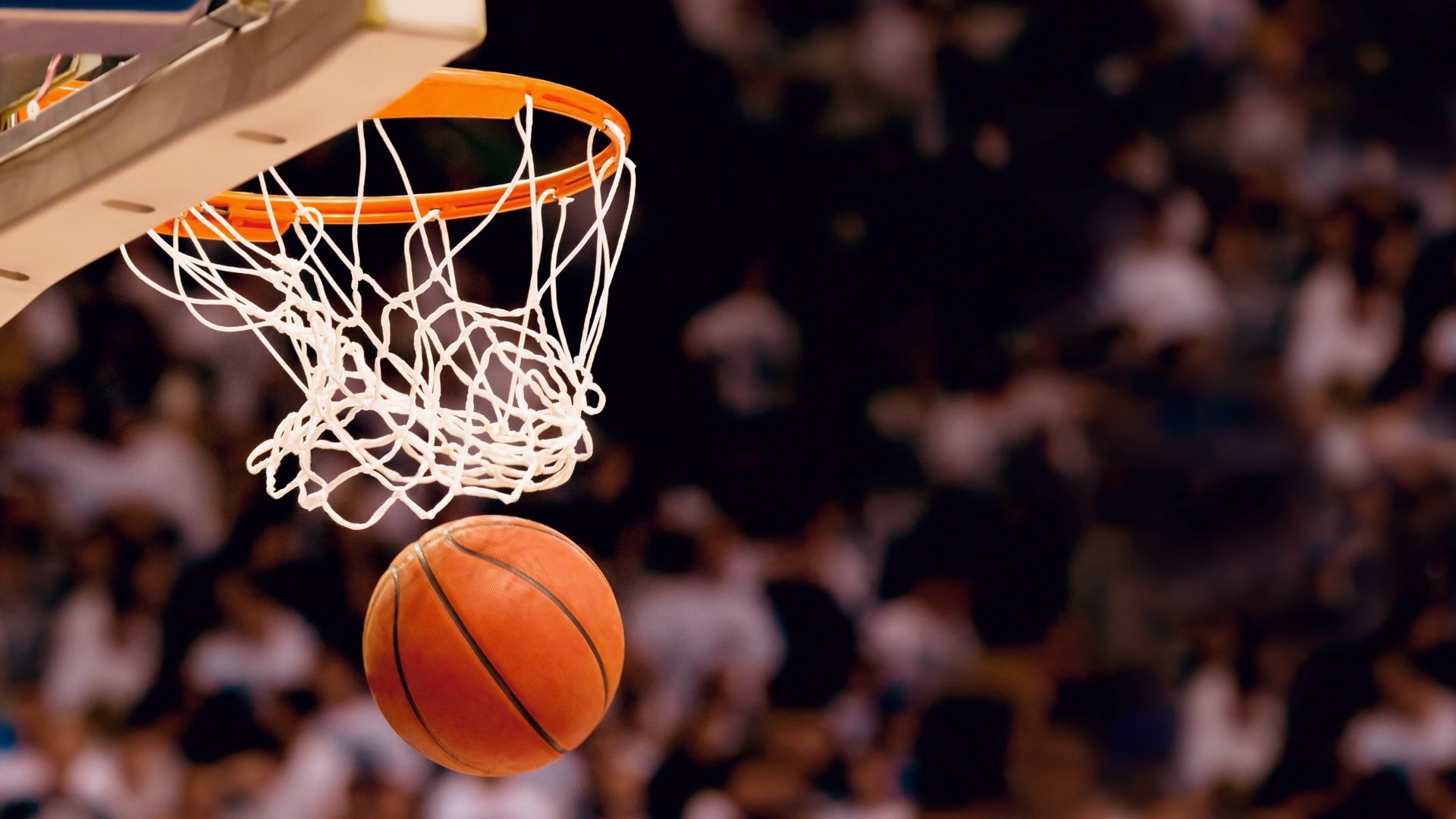 掘金翻盘新疆队?不,这是约基奇在更大舞台上演绎的唯一法则—当NBA总冠军的基因碰撞CBA总冠军的灵魂